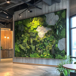 Gestabiliseerd Bewaarde Mossen Paneel, Echte Muur Decor Mos Fotolijst Eco Groene Mos Muur Kunst Op Maat Kantoor Hotel Home Decor - Product Image 4