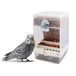 Hot Sale Indoor Window African Love <strong>Birds</strong> <strong>Large</strong> Parrot Automatic <strong>Feeder</strong> - Product Image 6