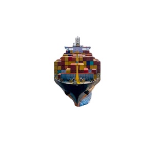 Spedizione DDP Veloce ed Economica dalla Cina a Destinazioni Globali, Assicurazione LCL+Trasporto Espresso, Tempi di Transito 25-30 Giorni - Product Image 4