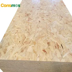 1220x2440mm 4mm 5mm 6 mm 8 mm 9.5mm ambalaj sınıf OSB kurulu