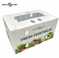 Emballages en carton ondulé personnalisés en gros, prix d'usine, boîtes d'emballage pour légumes et fruits avec trou de transport