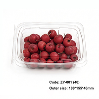 Boîte en plastique PET transparente de qualité alimentaire, hermétique, à charnière, pour l'emballage des noix et des fruits