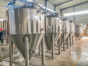 Fermentatore Conico Sanitario con Giacca Termica, Garanzia di 5 Anni, 220V, <span class=keywords><strong>Dimensioni</strong></span> Personalizzabili per Fermentazione di Birra Artigianale e Vino alla Frutta - Product Image 5