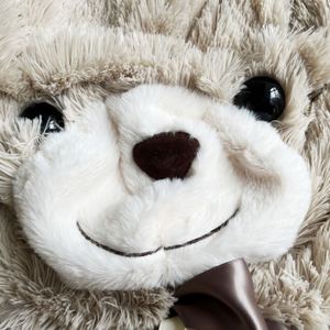 Peluche Vacío Sin Relleno, Piel de Peluche Personalizada Sin Relleno con Cremallera, Pieles de Osito de Peluche Sin Relleno, Oso de Peluche Sin Relleno - Product Image 5
