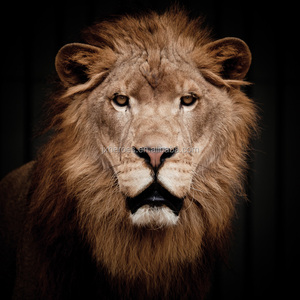 Majestic Lion Tiger Design Salon Chambre <span class=keywords><strong>Studio</strong></span> Papier Peint Mural Décoratif <span class=keywords><strong>3D</strong></span> - Product Image 2