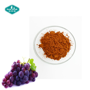Raw Material Fruit <strong>Extract</strong> Wholesale 95% Polyphenols Proanthocyanidins <strong>Grape</strong> Seed <strong>Extract</strong> - Product Image 2