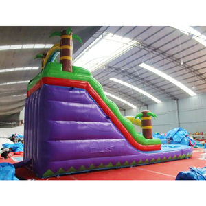 Tobogán Inflable Gigante para Patio de Juegos, Parque Acuático, Tobogán de Agua Inflable para Fiestas en el Patio Trasero, Alquiler Comercial, Tobogán Inflable para Piscina - Product Image 3