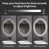Miroir lumineux ovale à LED avec interrupteur tactile Miroirs de salle de bain suspendus au mur sans cadre au design élégant Vente directe en usine