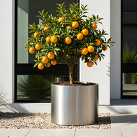 Jardinières hautes en acier inoxydable personnalisées, jardinières modernes en acier inoxydable brossé, grands pots de fleurs cylindriques
