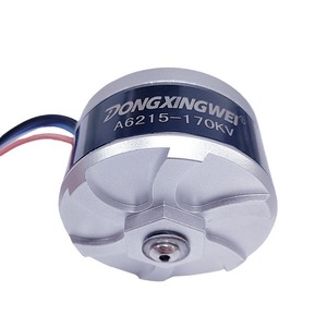 มอเตอร์ไร้แปรงถ่านแบบโรเตอร์ภายนอก Dongxingwei รุ่น 6215 36V 1.7Nm แรงบิดสูง สำหรับเครื่องตัดหญ้า - Product Image 3