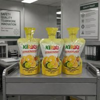 Sachets en plastique personnalisés pour boissons liquides avec paille, pour machine de remplissage de jus en aluminium, pochettes verticales à bec verseur