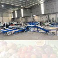 Automatische olijven sorteermachine voor groenten/fruit, maat sortering, reiniging, drogen, 304 roestvrij staal, capaciteit 2-10 ton