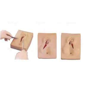 Simulator Pelatihan Penjahitan Vulva Model Pelatihan Penjahitan Vagina Model Pelatihan Insisi Perineal dan Penjahitan Tingkat Lanjut - Product Image 1