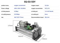 Générateur d'oxygène PSA O2 5DY, module concentrateur d'oxygène 20W pour machine à ozone, traitement de l'eau, concentrateur d'oxygène OEM