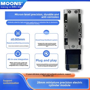 Module de glissière cylindrique miniature MOONS 28 à circuit fermé 40 mm, haute vitesse, efficacité IE1, MEA28 Chine - Product Image 1