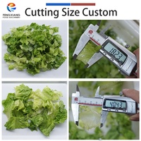 Machine à découper les légumes industrielle de grande capacité en acier inoxydable SUS304 pour ligne de transformation 3T/H
