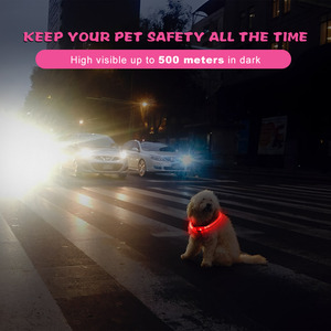 Luxuriöses USB-Aufladbares <span class=keywords><strong>LED</strong></span>-Hundehalsband für Nachtspaziergänge, CE-Zertifiziert, für Kleine/Mittlere/Große Hunde - Product Image 4