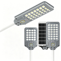 Lampadaire solaire tout-en-un 100W avec détecteur de mouvement IP65, du crépuscule à l'aube, personnalisé pour ferme, ranch, allée, villa, jardin, route rurale