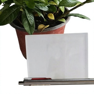 Ultra-white Oil Sand Frosted Tempered Paint Glass Wholesale Can Be Laminated Tempered for Map Processing From Wuhan