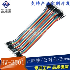 Câble de connexion électronique Hongwei Micro DuPont Wire 40P mâle-mâle 20 cm - Product Image 1