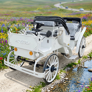 Carruaje Eléctrico Personalizado de Fábrica para Eventos Especiales, Carroza Real sin Caballos para Bodas - Product Image 1