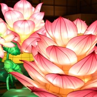 Linternas LED de Seda Chinas Impermeables con Formas de Plantas, Decoraciones para Festivales al Aire Libre, Halloween/Día de Acción de Gracias/Navidad/Año Nuevo