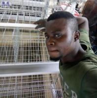 9 cages de poulet galvanisées, pour la mise en place, dimensions de la batterie