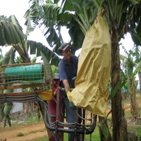 Usine en gros de haute qualité étanche à l'eau éviter les parasites fruits banane protection kraft couverture sac en papier