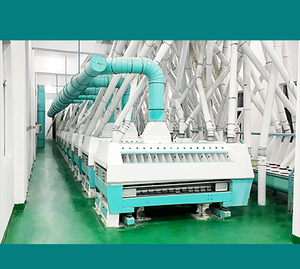 Usine de mouture de maïs entièrement automatique 50-200 TPD pour la production de <span class=keywords><strong>farine</strong></span> de maïs et de semoule de maïs - Projet de mouture - Product Image 5