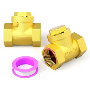 Swing Brass Check Valve Female Thread, Backflow Prevention, One Way Check Valves for Sump Pump and Air Compressor