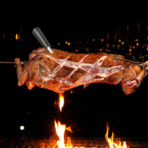 Termômetro de Carne para Churrasco Lonnmeter à Prova d'Água IP68 com Sonda Repetidora para Aplicativo Inteligente, Precisão 1C, Aço Inoxidável de Grau Alimentício - Product Image 4