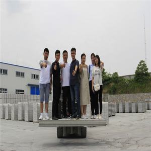 บล็อกคอนกรีตโพลีสไตรีนโฟมขนาด100มม. EPS แซนวิช<span class=keywords><strong>บอร์ด</strong></span>ผนังภายนอกภายใน - Product Image 3