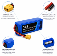 Paket Baterai Lithium Ion 14S 51.8V 22Ah 10C, Baterai Daya Isi Ulang dengan Pengosongan Tinggi untuk Peralatan Kerja Udara Industri