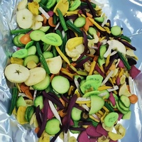 Smakelijke En Gezonde Gemengde Gedroogde Fruit-En Groentechips-Ideaal Om Onderweg Te Snacken