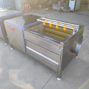 Lavadora Comercial Automática de Frutas y Verduras de Acero Inoxidable, Máquina Peladora de Tomates, Zanahorias y Verduras con Capacidad de 800 KG/H - Product Image 4