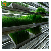 Conteneur d'expédition, conteneur hydroponique, serre, ferme hydroponique
