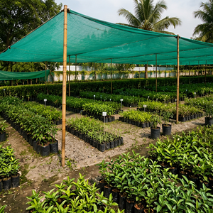 ตาข่ายบังแดดสำหรับการเกษตร HDPE ป้องกันรังสียูวี  แบบถัก รูปทรงสี่เหลี่ยมผืนผ้า สำหรับโรงเรือน สวน และลานบ้าน - Product Image 1