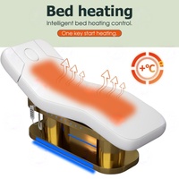 Ensemble de mobilier de salon : Lit de beauté électrique, table de massage et de soin du visage avec LED, lit de luxe moderne pour cils, idéal pour les traitements esthétiques