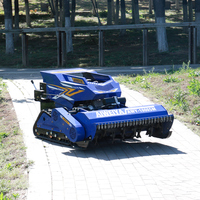 Cortadora de césped RC con motor de baja contaminación, certificada por CE y EPA, máquina para mantenimiento de césped en pendientes para campos de golf