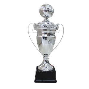 Trofeo in Metallo Grande su Misura per Competizioni Sportive, Trofeo Personalizzato per Campionati e Leghe - Product Image 4