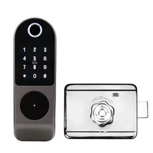 WAFU Smart Rim Door Lock Fingerprint Electric Outdoor Courtyard Old Style Gate Door Lock with Remote Control Digital DOOR Lock