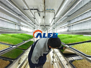 Automatic Vertical Farming Container Hydroponic Aeroponic Plant Grow <strong>System</strong> with Motor Factory-Supply for <strong>Efficient</strong> Growing - Product Image 2