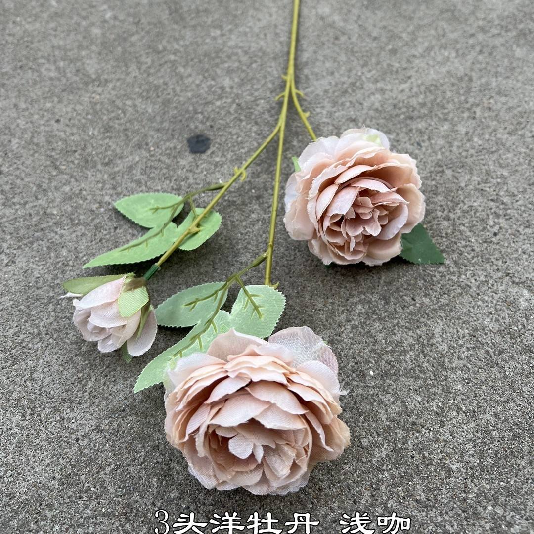 สีน้ำตาล ข้อเสนอพิเศษ แกงดอกโบตั๋น 3 หัว