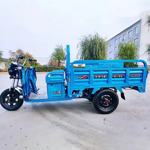 Triciclo de motor, carrito de comida móvil, triciclos motorizados, triciclo eléctrico de pasajeros