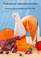 Vente en gros en vrac 10kg/carton surgelés, désossés, sans peau, de bonne qualité, lyophilisés, poitrines de poulet, aliments pour animaux de compagnie