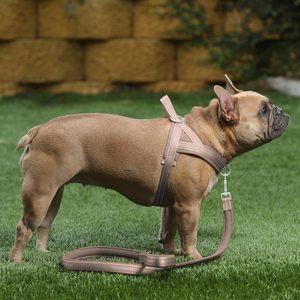 Özelleştirilmiş lüks naylon köpek koşum ayarlanabilir yansıtıcı köpek koşum rahat nefes köpek tasma evcil hayvan malzemeleri toptan - Product Image 6