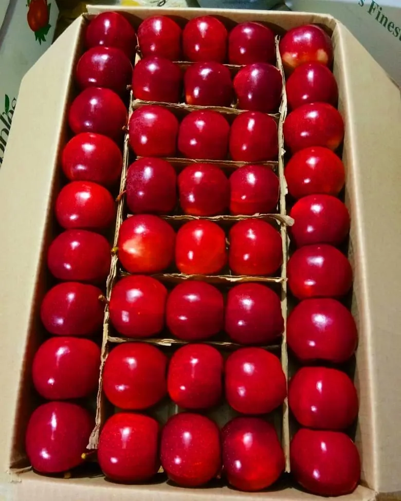 파삭 파삭 한 맛있는 빨간 사과