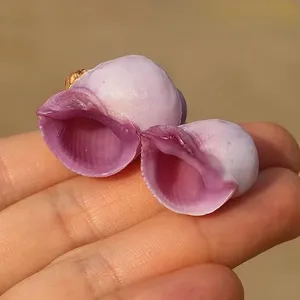 Escargot de mer corail violet, petite coquille naturelle, spécimen de collection rare, pour décoration aquatique, Chine continentale - Product Image 4