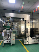 Machine de remplissage et d'emballage automatique de haute précision pour chips/noix