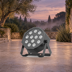 Vlite LED Par Light 36W 12x RGBW 4-in-1 <b>DC</b> <b>12V</b> DMX512 Dimmable with 1-Year Warranty for Events - Product Image 4